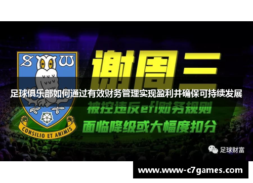 足球俱乐部如何通过有效财务管理实现盈利并确保可持续发展 足球俱乐部如何通过有效财务管理实现盈利并确保可持续发展