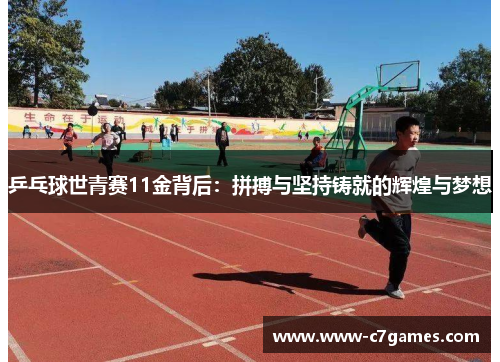 乒乓球世青赛11金背后：拼搏与坚持铸就的辉煌与梦想