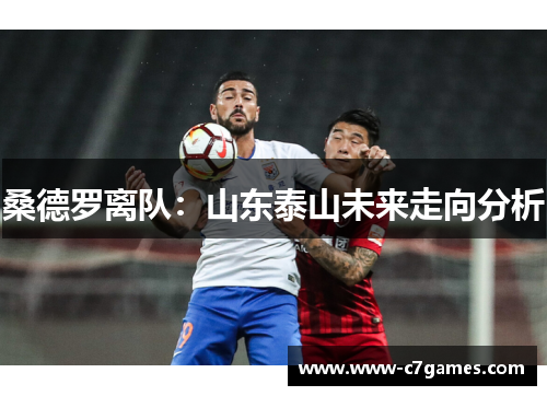 桑德罗离队:山东泰山未来走向分析 桑德罗离队:山东泰山未来走向分析